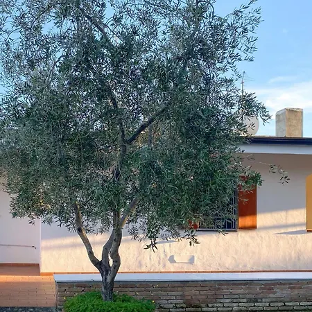 Holiday home 5 Bedroom Pet Friendly In Vieste
